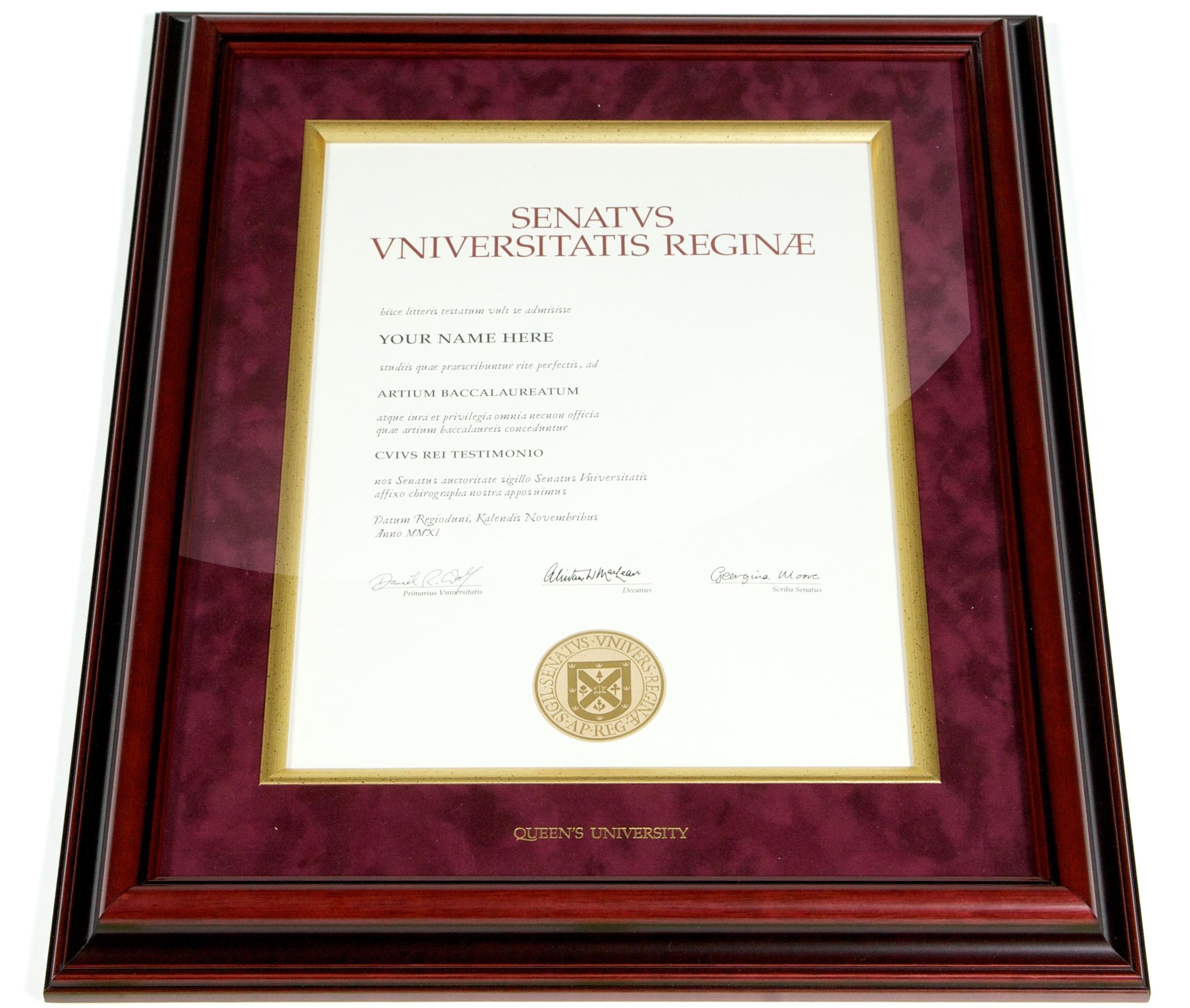 #6 Diplomat Satin Plus Frame with Suede Mat in red with diploma